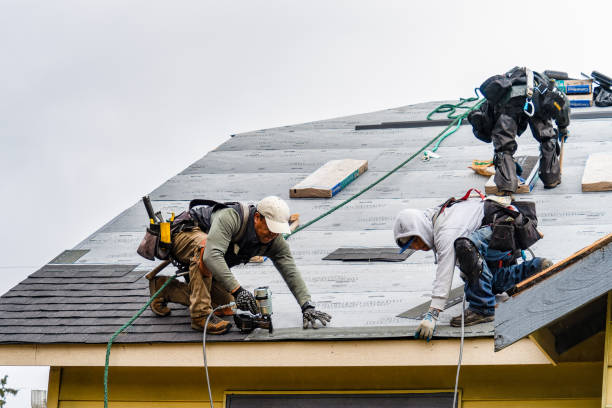 Professional Flat Roof Repair technician working in Mount Union, IA